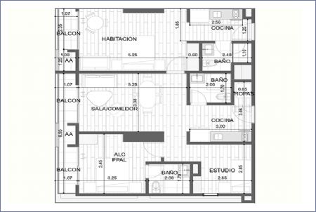 Imagen de Apartasuite Tipo C1-A1 - Ambar Bio